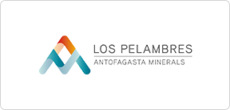 Pelambres_clients